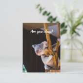 あなた考えのおもしろいKoalaあなたは私に知らせる大丈夫 ポストカード (スタンド正面)