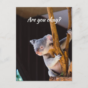 あなた考えのおもしろいKoalaあなたは私に知らせる大丈夫 ポストカード