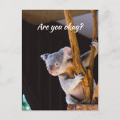 あなた考えのおもしろいKoalaあなたは私に知らせる大丈夫 ポストカード (正面)
