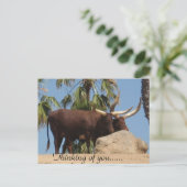 あなた考えのアフリカのワトゥシ牛 ポストカード (スタンド正面)