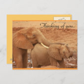 あなた考えのアフリカゾウ ポストカード (正面/裏面)