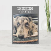 あなた考えのハッピーバースデー カード (正面)