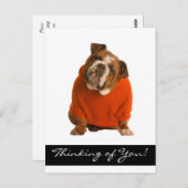 あなた考えのブルドッグ子犬グリーティングポスカード ポストカード (正面/裏面)