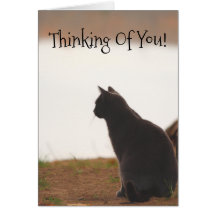 あなた考えの友人