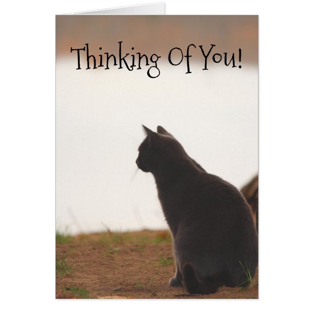 あなた考えの友人 (正面)