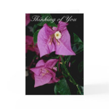 あなた考えの詩