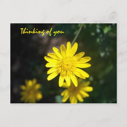 あなた考えの – イエローデイジー ポストカード (正面)