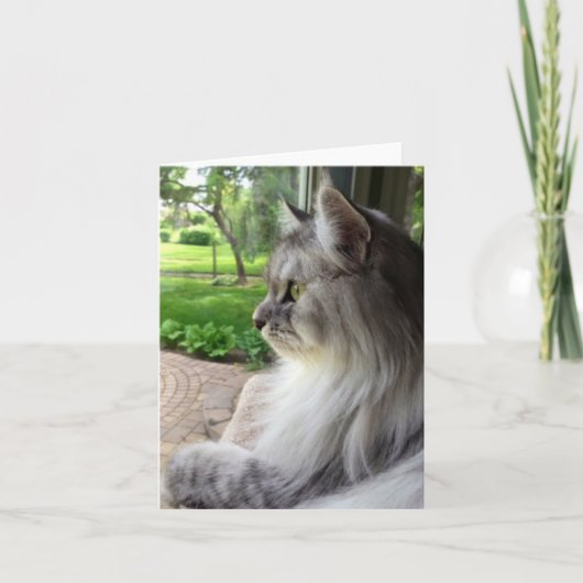 あなた考えの(シベリアスタイル) カード (正面)