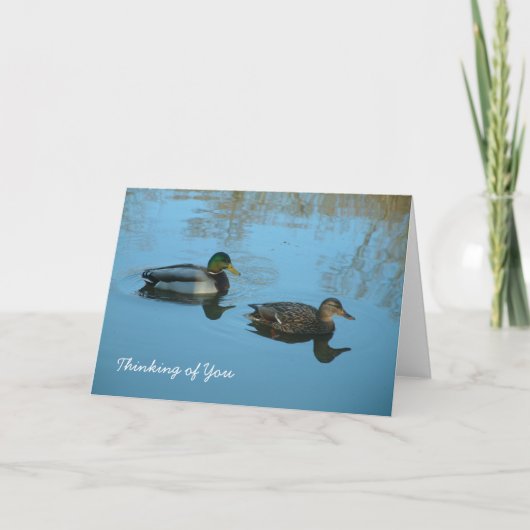 あなた考えの |ダックス カード (正面)