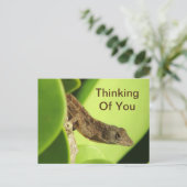 あなた考えるのの葉Reptile Gecko友情 ポストカード (スタンド正面)