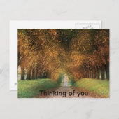 あなた考えるのはがき ポストカード (正面/裏面)