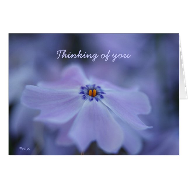 あなた考えるの (正面横)