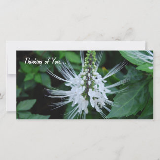 あなた考えるの