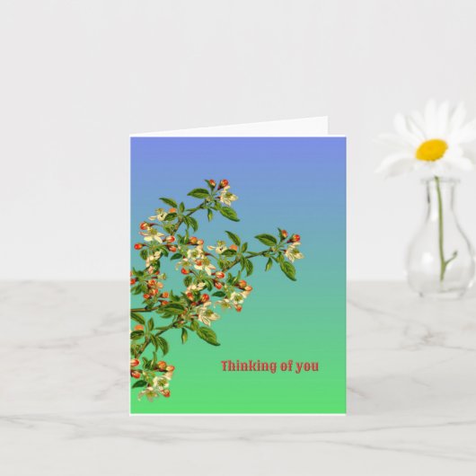 あなた考えるの カード (小さな植物)