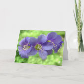 あなた考えるの カード (正面)