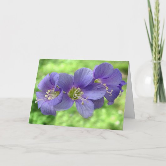 あなた考えるの カード (正面)