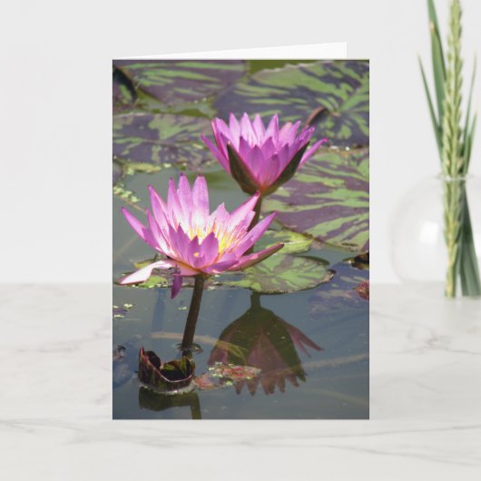 あなた考えるの カード (正面)