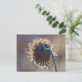 あなた考えるの ポストカード (スタンド正面)