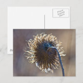 あなた考えるの ポストカード (正面/裏面)