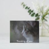 あなた考えるの ポストカード (スタンド正面)