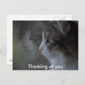 あなた考えるの ポストカード (正面/裏面)