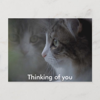 あなた考えるの ポストカード