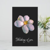 あなた考えるの 便箋 (スタンド正面)