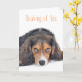 あなた考えるの – 目をソウルフルで美しい犬 カード (黄色い花)