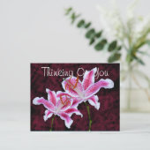 あなた考えるのStargazer Lily写真のカスタム ポストカード (スタンド正面)