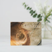 あなた考えモンキーの ポストカード (スタンド正面)