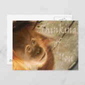 あなた考えモンキーの ポストカード (正面/裏面)