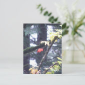 あなた自身があって下さい ポストカード (スタンド正面)