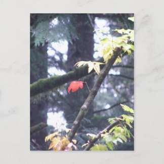 あなた自身があって下さい ポストカード