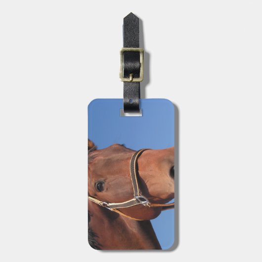 あなた自身のカスタムな写真のギフトを作成して下さい ラゲッジタグ (正面縦)