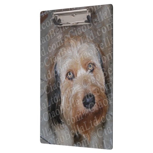 あなた自身のカスタムな写真のクリップボードを作成して下さい クリップボード (左)