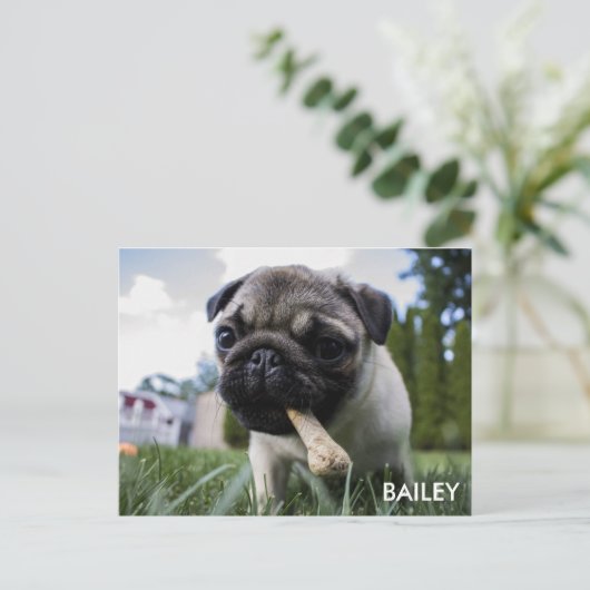 あなた自身のカスタムな写真を作成して下さい ポストカード (スタンド正面)