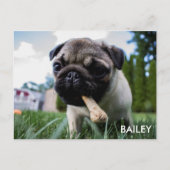 あなた自身のカスタムな写真を作成して下さい ポストカード (正面)