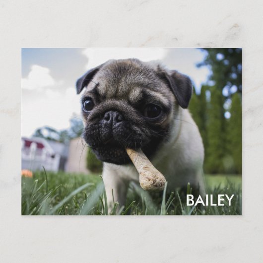 あなた自身のカスタムな写真を作成して下さい ポストカード (正面)