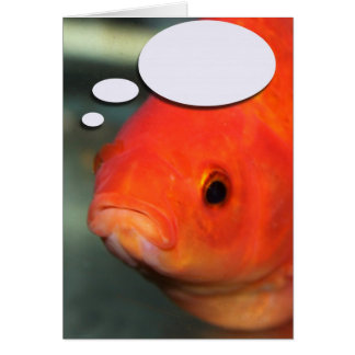 あなた自身のキャプション、金魚を作成して下さい