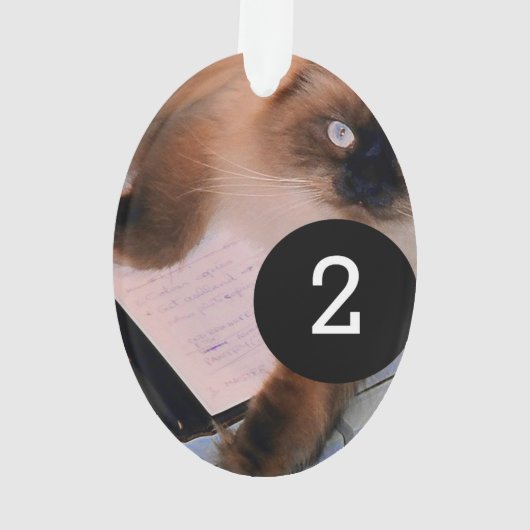 あなた自身のシンプルな簡単を楕円形2つのイメージ作成して下さい オーナメント (裏面)