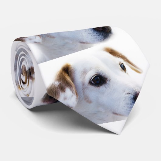 あなた自身のタイを作って下さい ネクタイ (ロール)