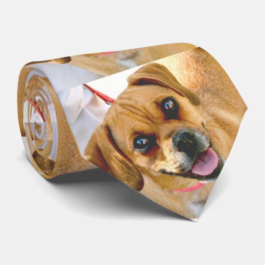 あなた自身のペットまたは好みの家族写真の首のタイを加えて下さい ネクタイ (ロール)