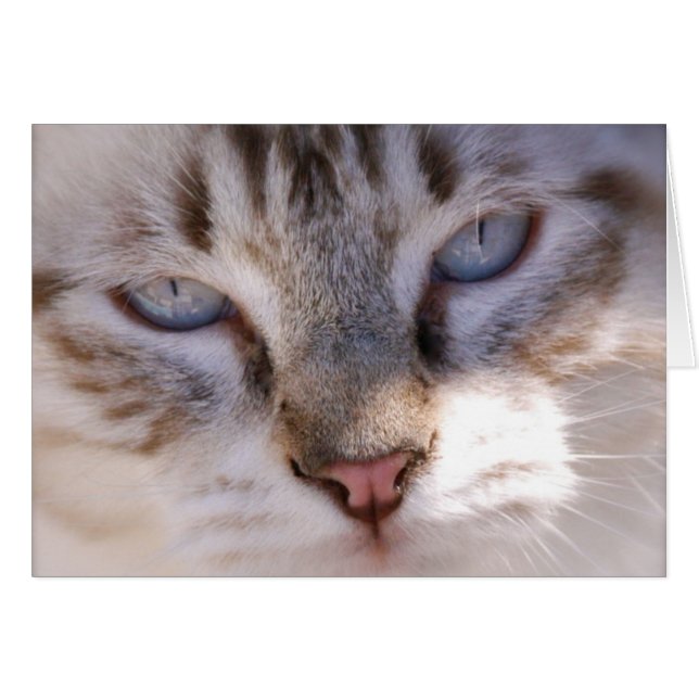 あなた自身のペットカードをカスタマイズ (正面横)