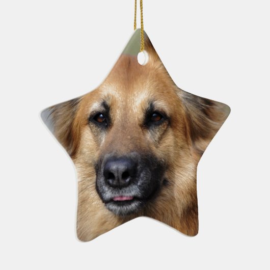 あなた自身のペット写真を作成して下さい セラミックオーナメント (右)