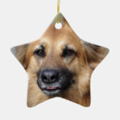 あなた自身のペット写真を作成して下さい セラミックオーナメント (正面)