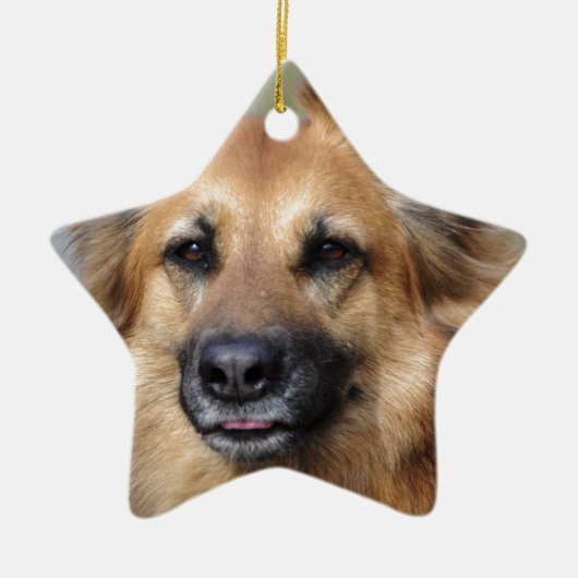 あなた自身のペット写真を作成して下さい セラミックオーナメント (正面)