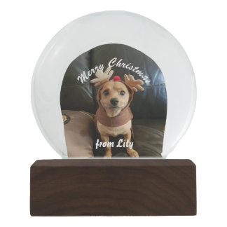 あなた自身のメリークリスマスの雪の地球を作成して下さい スノーグローブ