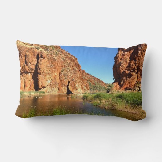 あなた自身の二重味方された腰神経のクッションを作成して下さい ランバークッション (裏面)