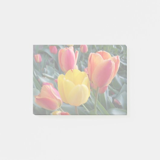 あなた自身の写真で色を抑えて ポストイット (正面)