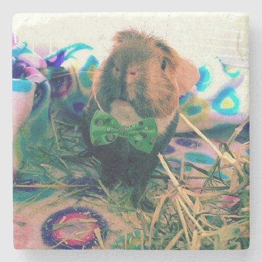 あなた自身の写真の石のコースターを加えて下さい ストーンコースター (正面)